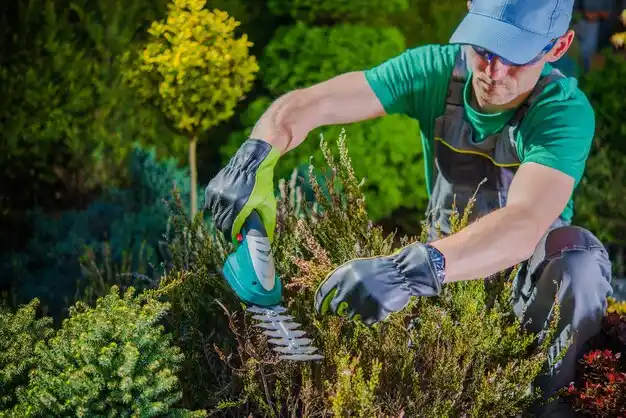 landscaping services Crystal City
